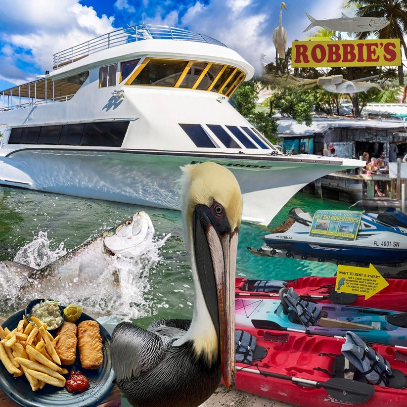 Exclusive Combo! Robbie’s Isla Morada Adventure & Miami Boat Tour