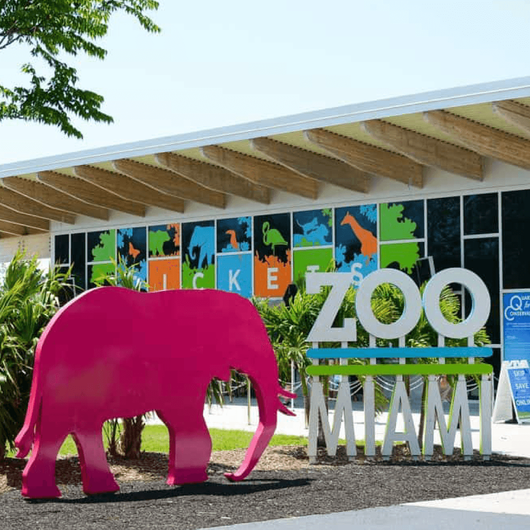 Zoo Miami Tour - My Store